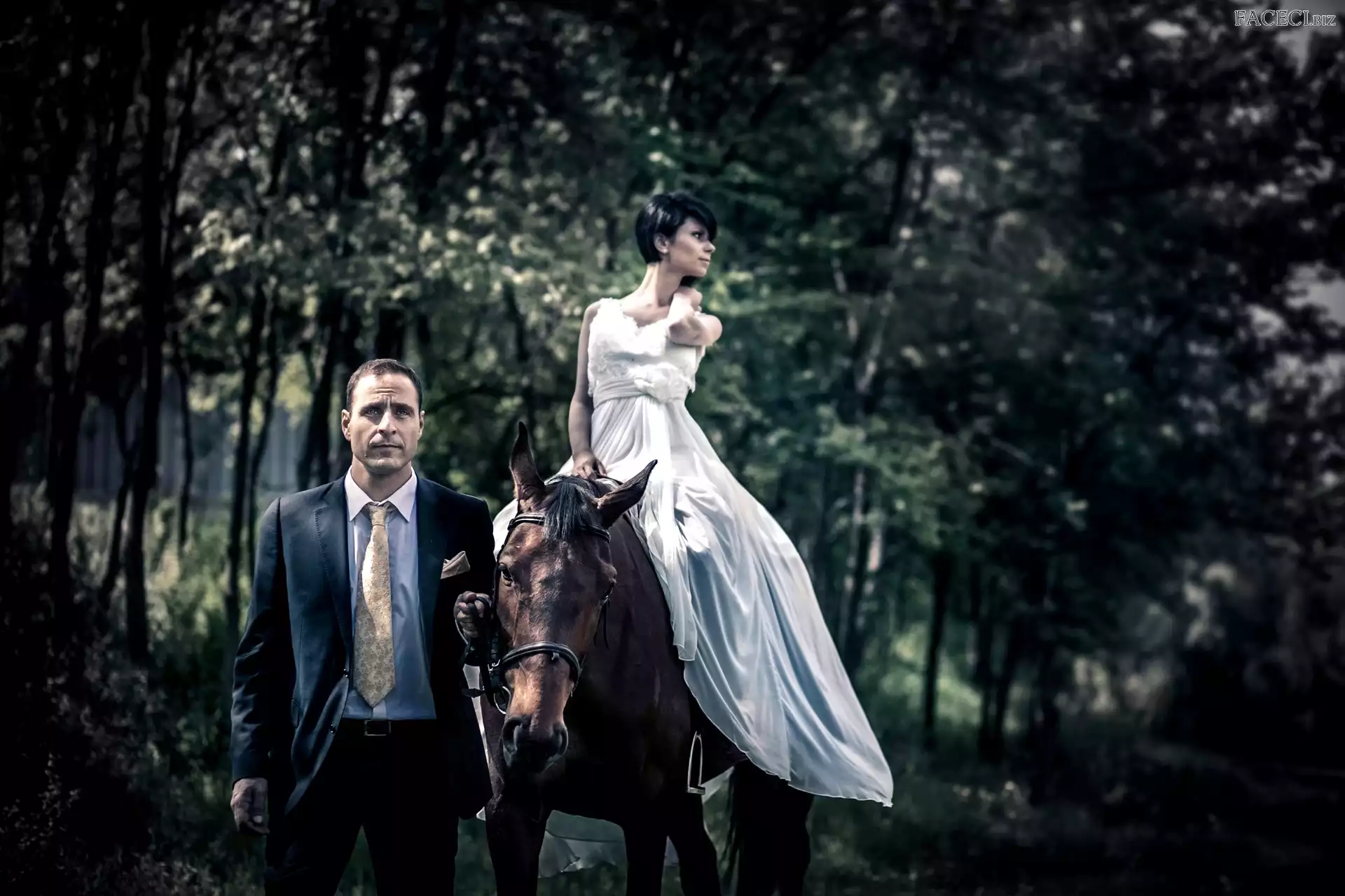 Koń, Mężczyzna, Las, Kobieta